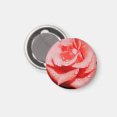 Antike Rosen Magnet (Vorderseite/Rückseite)