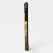 Antike Rosen Nahaufnahme Case-Mate iPhone Hülle (Hinten/Links)