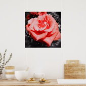 Antike Rosen Poster (Küche)