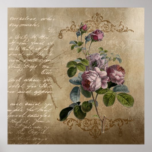 Antike Rosen Poster (Vorne)