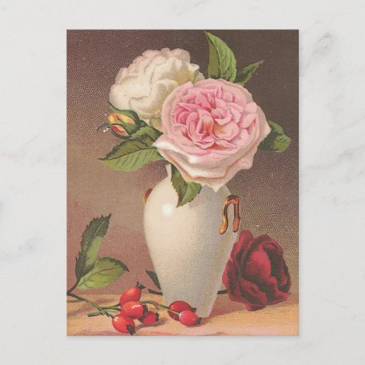 Antike Rosen Postkarte (Vorderseite)