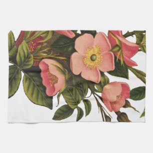 Antike Rosen Schönes Rosa Botanisch Küchentuch