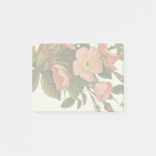 Antike Rosen Schönes Rosa Botanisch Post-it Klebezettel