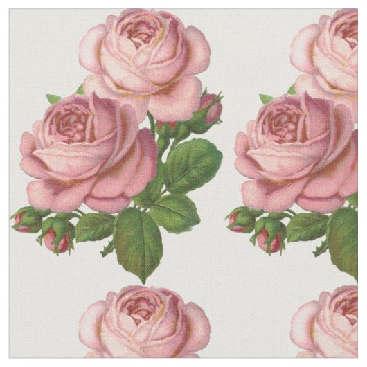 Antike Rosen Stoff (Nahaufnahme)
