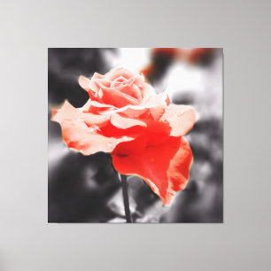Antike Rosenblume Leinwanddruck