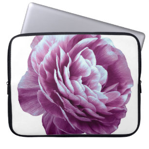 Antike Rosenblüte lila. Blüte isoliert auf Weiß Laptopschutzhülle