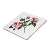 Antike Rosenfliese Fliese (Seite)