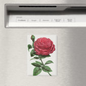 Antike Rosenlithografie, François-Frédéric Grobon Magnet (In Situ (Geschirrspüler))