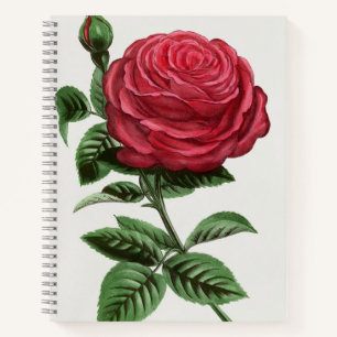 Antike Rosenlithografie, François-Frédéric Grobon Notizblock