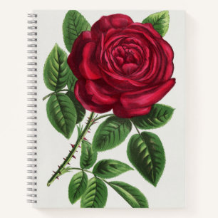 Antike Rosenlithografie, François-Frédéric Grobon Notizblock