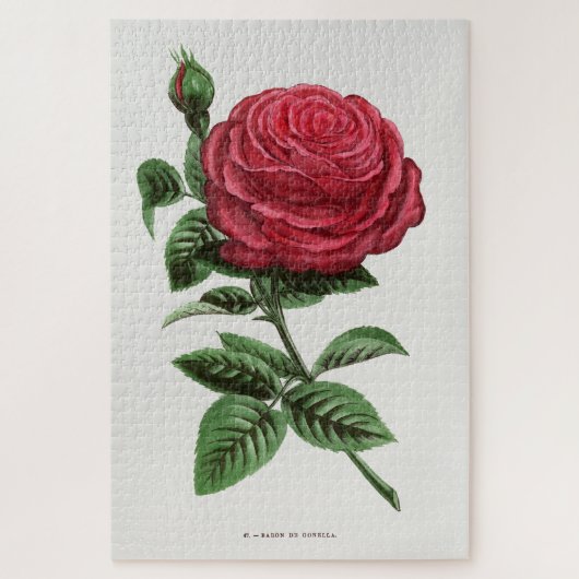 Antike Rosenlithografie, François-Frédéric Grobon Puzzle (Vertikal)