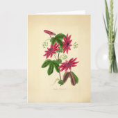 Antike rote Blumenillustration Karte (Vorderseite)