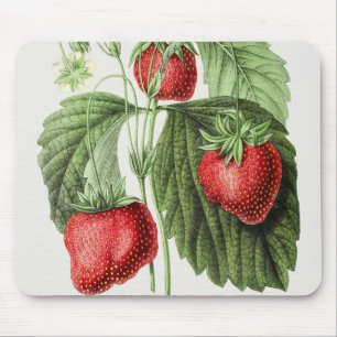 Antike rote frische Erdbeeren Blumenlaub Mousepad
