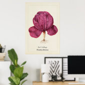 Antike Rote-Kohl-Botanik-Illustrations-Wanddekorat Poster (Heimbüro)