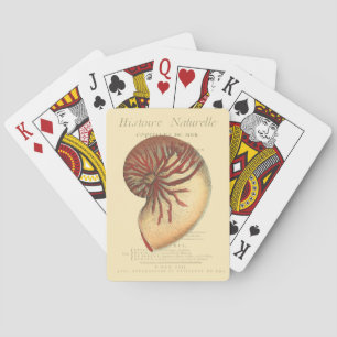 Antike rote Meereschnecke Spielkarten