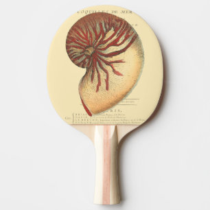 Antike rote Meereschnecke Tischtennis Schläger