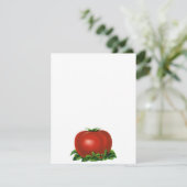 Antike rote reife Tomate, Gemüse und Früchte (Stehend Vorderseite)