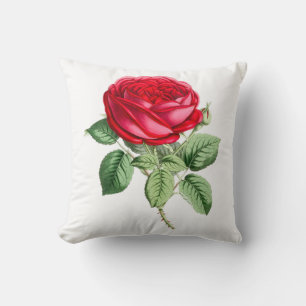 Antike Rote Rose einfach Kissen