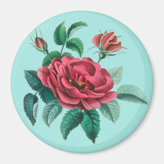 Antike rote Rose Magnet (Vorne)