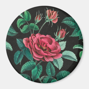 Antike rote Rose Magnet