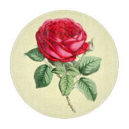 Antike Rote Rose Schneidebrett