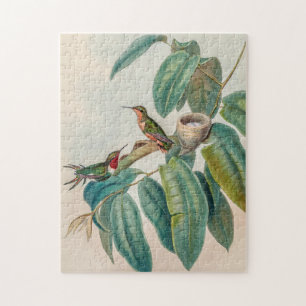 Antike Rotschwanz-Hummingbirds Puzzle