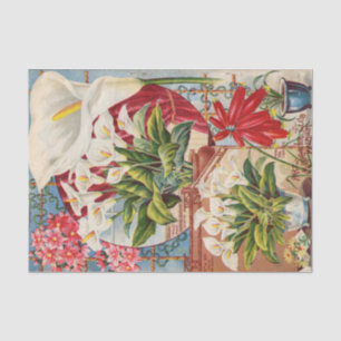 Antike Samenkatalog Callas und Hyazinthen Seidenpapier