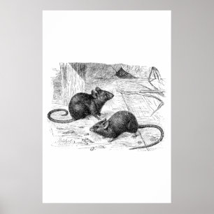 Antike Scheune Maus Retro Mäuse Illustration 1800e Poster