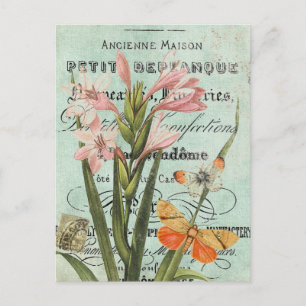 Antike Schmetterling- und Lilien-Postkarte Postkarte