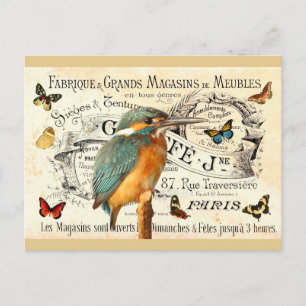 Antike Schmetterlinge & Eisvogel auf französischer Postkarte