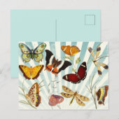 Antike Schmetterlinge Postkarte (Vorne/Hinten)