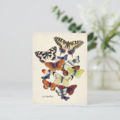 Antike Schmetterlinge Postkarte (Stehend Vorderseite)