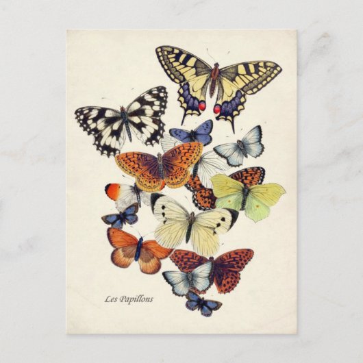 Antike Schmetterlinge Postkarte (Vorderseite)