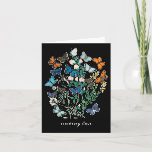 Antike Schmetterlinge und Motten farbenfroh Einladung (Vorderseite)