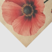 Antike Schmetterlings-Mohn-Blumen-Möbel-Decoupage Seidenpapier (Ausschnitt)