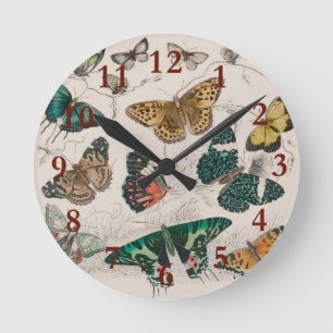 Antike Schmetterlingsillustration: 1820 Goldschmie Runde Wanduhr