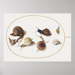Antike Schnecken Poster