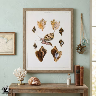 Antike Schnecken und Weichtiere, Meereslebewesen Poster