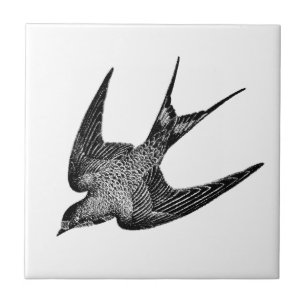 Antike Schwalben-Illustration - Vogel aus dem 19. Fliese