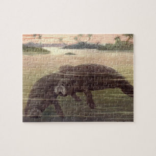 Antike Seekühe oder Manatis, Meeressäuger Puzzle