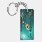 Antike Skeleton Keys on Green Background Schlüsselanhänger (Vorderseite links)