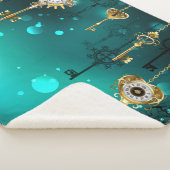 Antike Skeleton Keys on Green Background Sherpadecke (3/4)