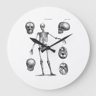 Antike Skelett-Anatomie-Skelette aus dem 19. Jahrh Große Wanduhr