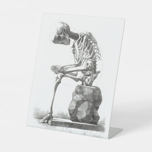Antike Skelettanatomie: Gothic Halloween Medizin Sockelschild