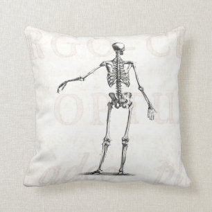 Antike Skelette Anatomie Skelette 19. Jahrhundert Kissen