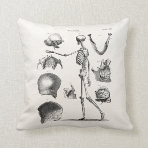 Antike Skelette aus dem 19. Jahrhundert Anatomie S Kissen