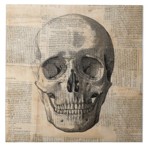 Antike Skull Illustration Vintage Kunstwerke Press Fliese