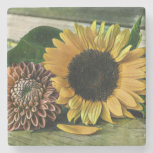 Antike Sonnenblume Aquarell auf einem Holztisch Steinuntersetzer