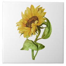 Antike Sonnenblume Rustikale Blumen
