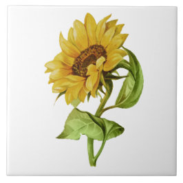 Antike Sonnenblume Rustikale Blumen Fliese